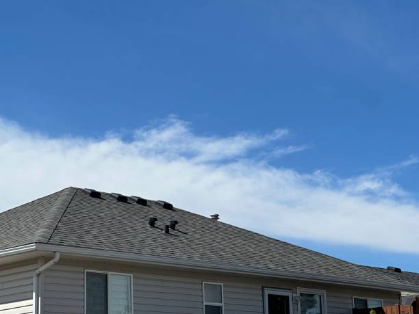 Best Skylight Installation and Repair  in Terville, WA
